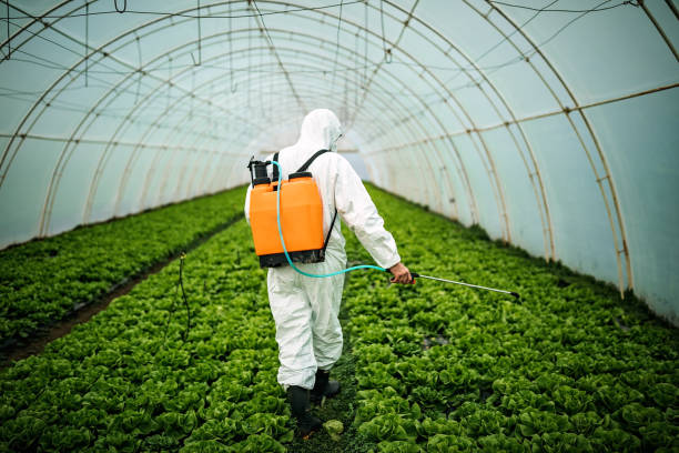 Best Pest Control Near Me  in Mcfarland, CA