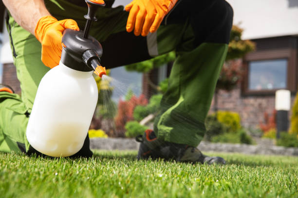 Best Pest Inspection Near Me  in Mcfarland, CA