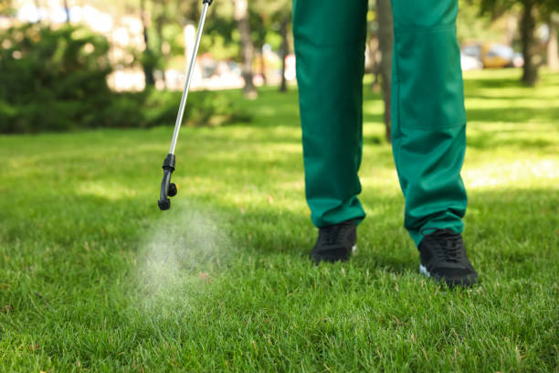 Best Pest Removal Services  in Mcfarland, CA