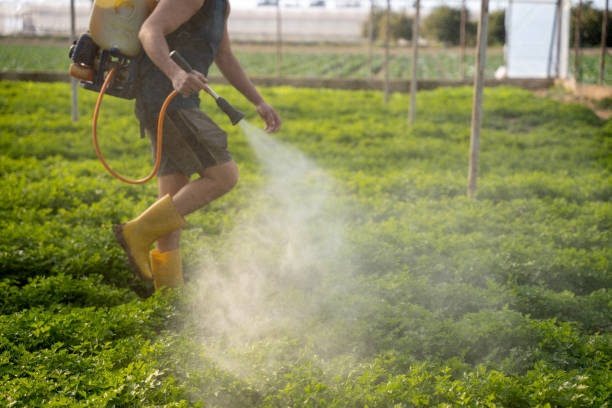 Best Commercial Pest Control Services  in Mcfarland, CA