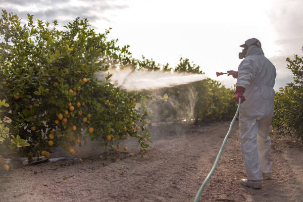 Best Affordable Pest Control Services  in Mcfarland, CA