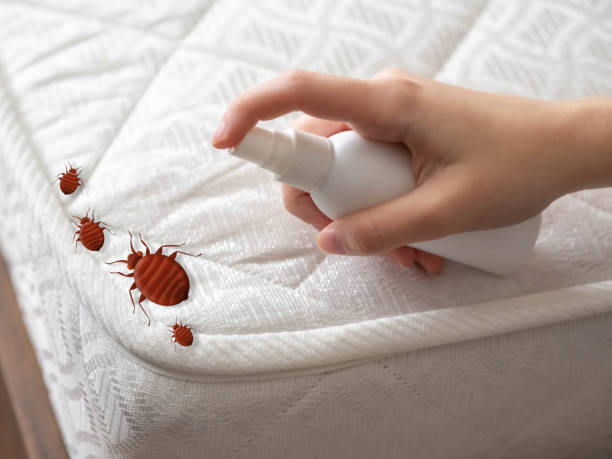 Best Best Pest Control Companies  in Mcfarland, CA